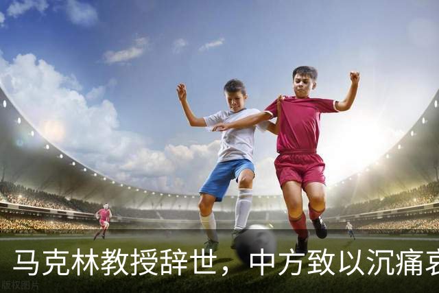 马克林教授辞世，中方致以沉痛哀悼